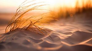 Beach Impressions No 37