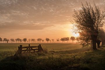 Sonnenaufgang in der Betuwe von Moetwil en van Dijk - Fotografie