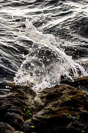 Ephemeral Flow by Anouk Pross