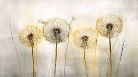 Paardenbloemen Aquarel Minimalistisch van Cathrin Illgen