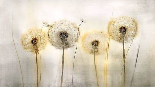 Paardenbloemen Aquarel Minimalistisch