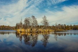 Paysage riverain du lac d'oiseaux dans la réserve naturelle du Pfrunger-Burgweiler Ried près de Wilhelmsdorf sur BlattArt - Christine Horn