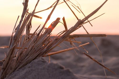 Sand mit Ästen von Ben Hoedt