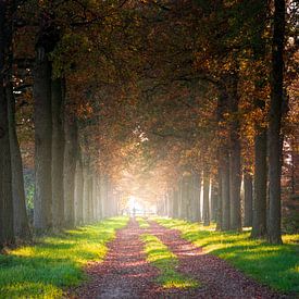 Mooie herfstdag van Willem Jongkind