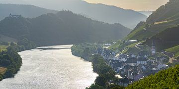 Merl an der Mosel von Walter G. Allgöwer