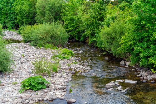 Rivier in het Zwarte Woud