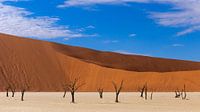 Death Valley in Namibia von Cees Stalenberg Miniaturansicht