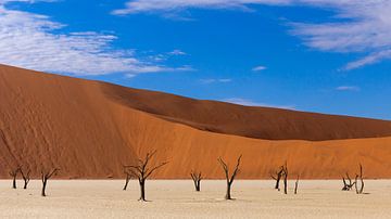 Death Valley in Namibia by Cees Stalenberg