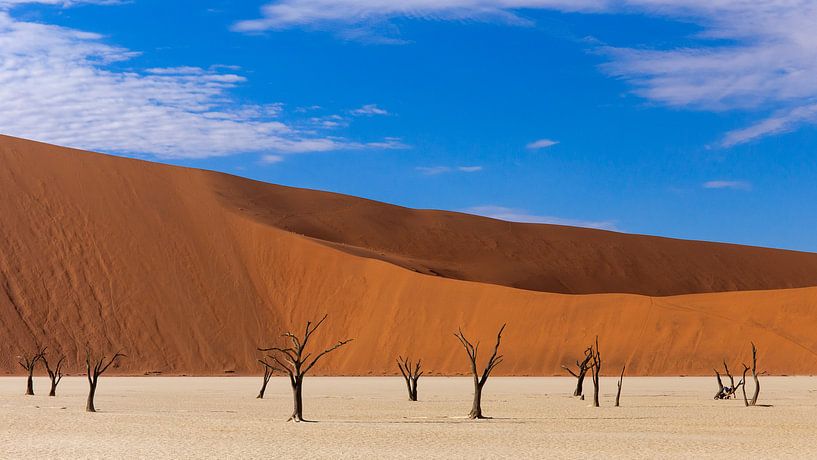 Death Valley in Namibia von Cees Stalenberg