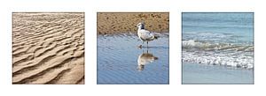 Triptyque mer et plage