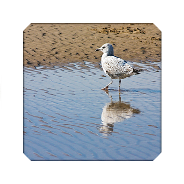 Drieluik zee en strand