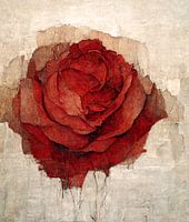 A Rose