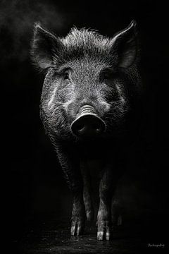 Wild boar by Poster Art Shop