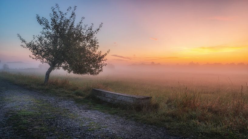 Vroege ochtendmist in de rioolboerderij van Steffen Peters