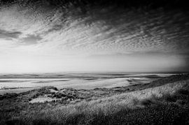 Strand von Saskia Staal