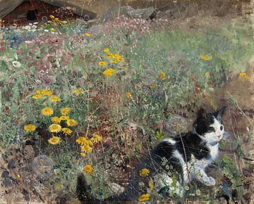 Kat op een bloemrijke weide, Bruno Liljefors