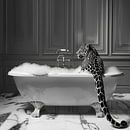 Eleganter Jaguar im Badezimmer - Ein exotisches Badezimmerbild für Ihr WC von Poster Art Shop Miniaturansicht