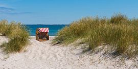 In the dunes by Denis Feiner
