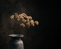 Dried hogweed in a rustic vase.