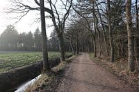 Wyldemerk
