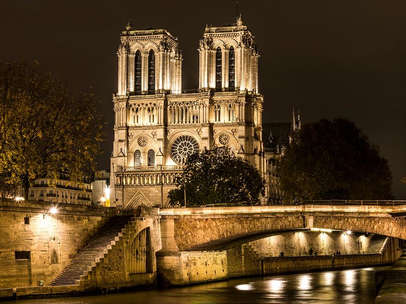 Notre-Dame of Paris by Herman Coumans