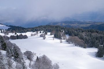 Natuurpark Vercors in de Franse Alpen van Ralph Rozema