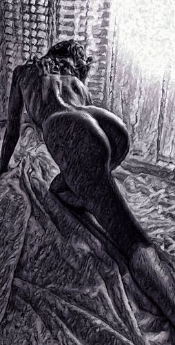 Naaktportret - naakte vrouw in een sexy pose