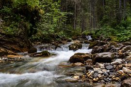 Fluss in den Bergen von Nicolas Vaillant