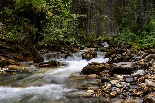 Rivière dans la montagne
