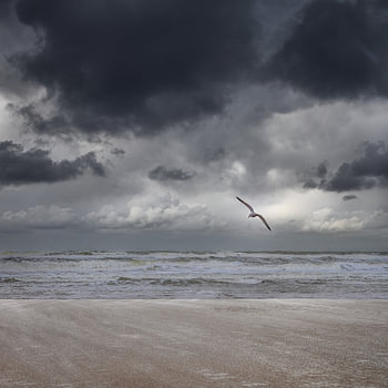 Stilte voor de storm