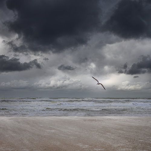 Le calme avant la tempête