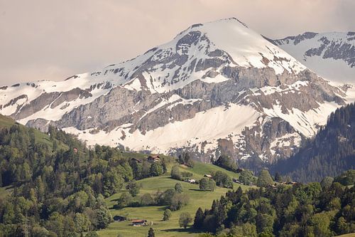 Lentesneeuw, Berner Oberland, Zwitserland