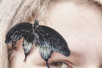 Butterfly moment