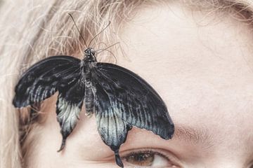 Schmetterlingsmoment von Lia van Beest