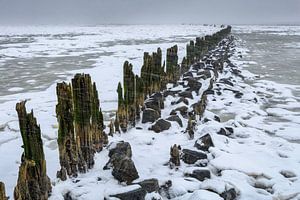 Sneeuwbui over het wad van Peter Bolman