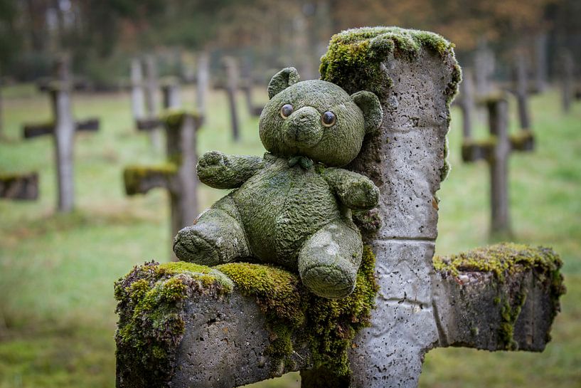 Beertje par Marian van der Kallen Fotografie