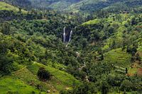 Sri Lanka enchants with its rolling tea plantations and countless waterfalls hidden in the verdant highlands.