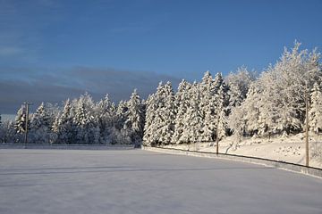 Het recreatieterrein in de winter van Claude Laprise