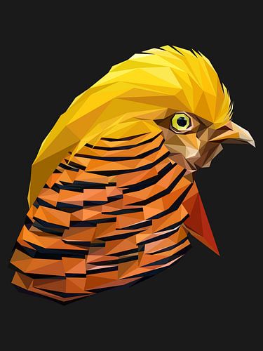 Gouden Fazant Vogelhoofd in Laagpolig Abstract