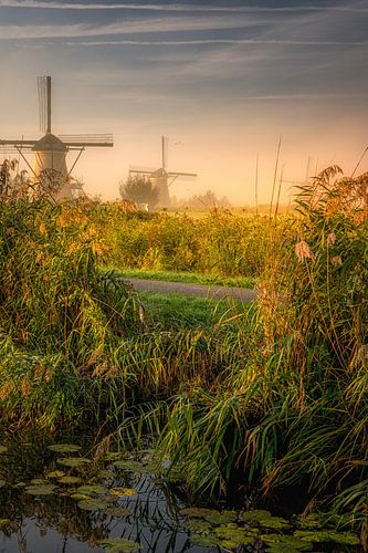Molens Kinderdijk tijdens het ochtendgloren