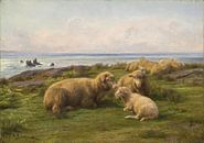 Mouton au bord de la mer, Rosa Bonheur par Des maîtres magistraux Aperçu