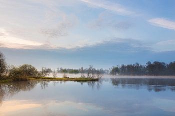 Dawn at the water's edge