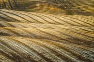 Toskanische Landschaft von Peter Poppe Miniaturansicht