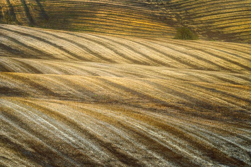 Toskanische Landschaft von Peter Poppe