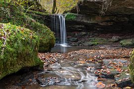 Herbst in der Eifel, Bitburg, Rheinland-Pfalz, Deutschland von Alexander Ludwig