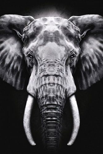 Olifant in monochroom zwart en wit