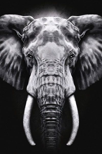 Elephant in monochrome black and white by Art & Soul Creations