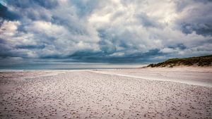 Coquillages sur la plage avec dune à Texel sur eric van der eijk