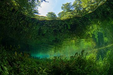 Paysage sous-marin sur Matthijs de Vos