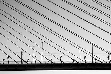 Detail of Erasmus bridge Rotterdam von Peter Hooijmeijer
